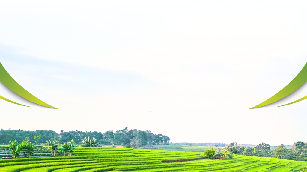 Công Ty Cổ Phần Iridi Việt Nam_ Hero Section Banner