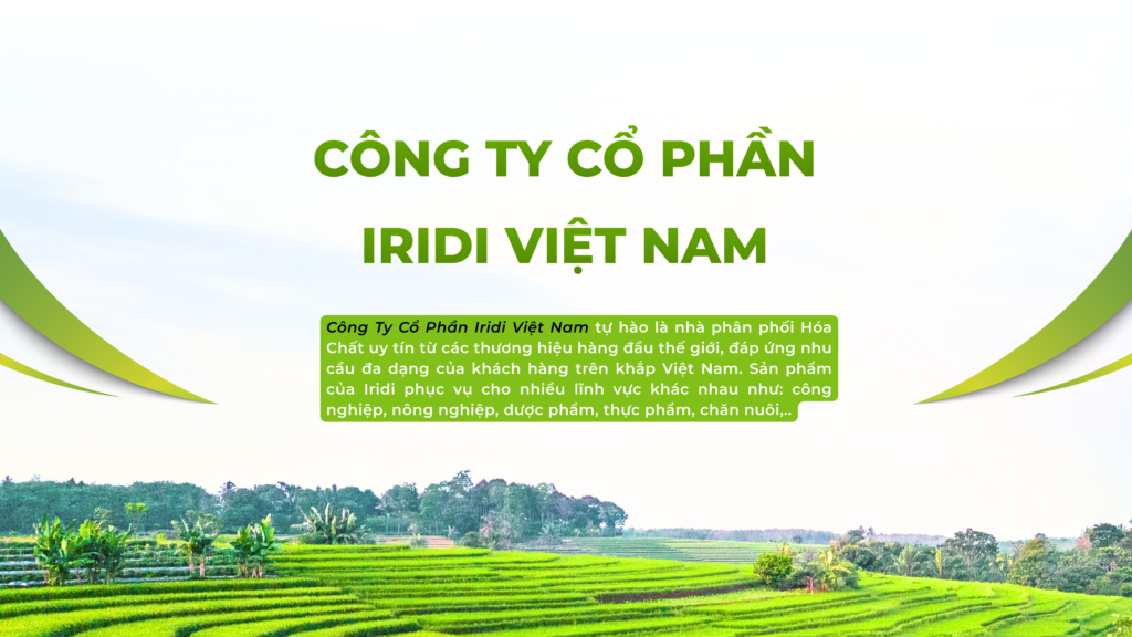 Công Ty Cổ Phần Iridi Việt Nam_ Hero Section Banner